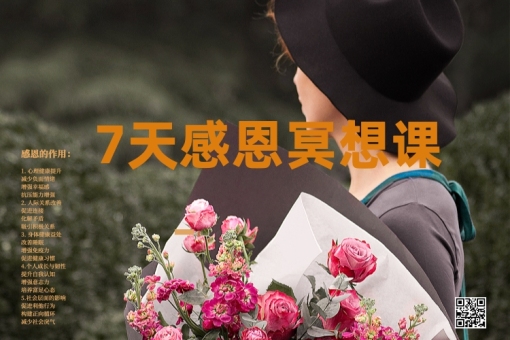 七天感恩冥想