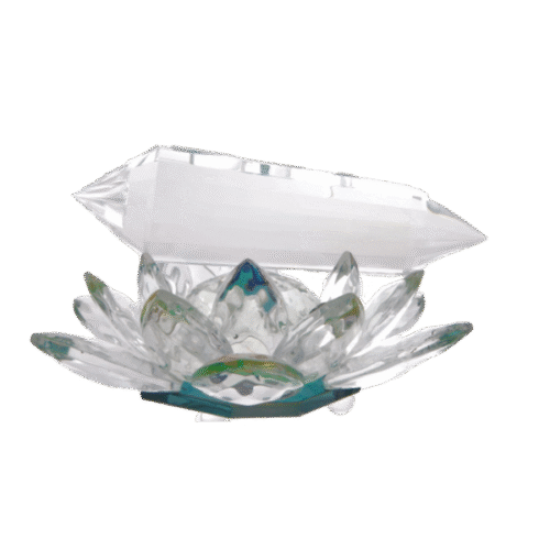 ppd5 Tachyonized Mini Vogel 4.5 英寸 - 透明