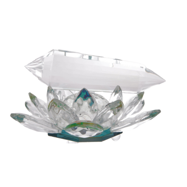 Tachyonized Mini Vogel 4.5 英寸 - 透明